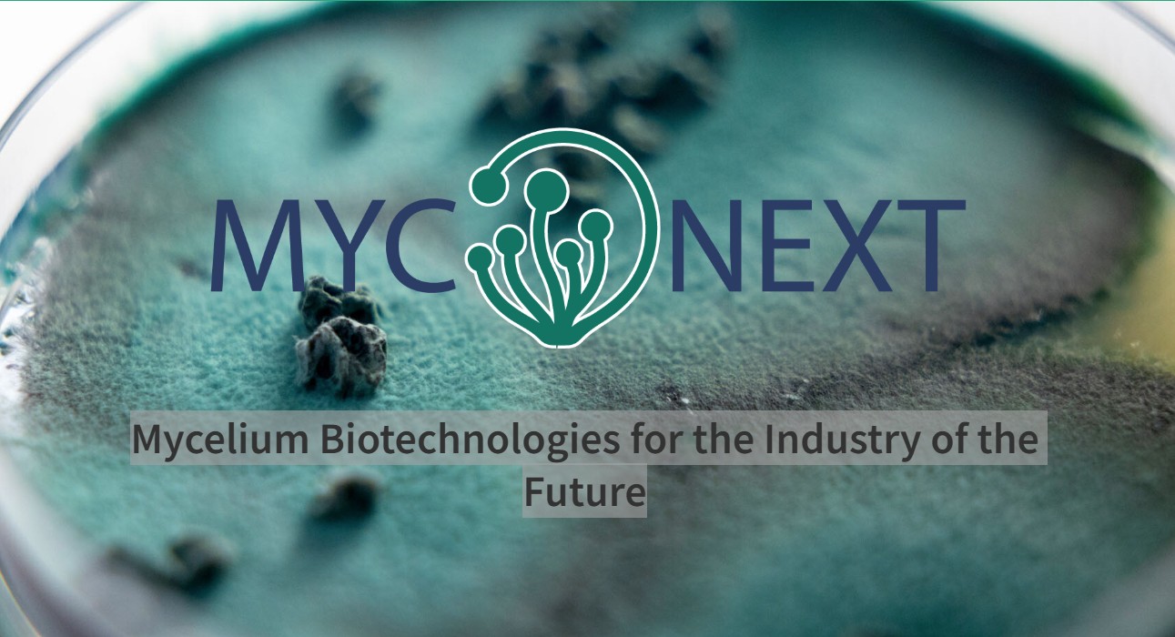 MycoNEXT - Mycelium Biotechnologies for the Industry of the Future