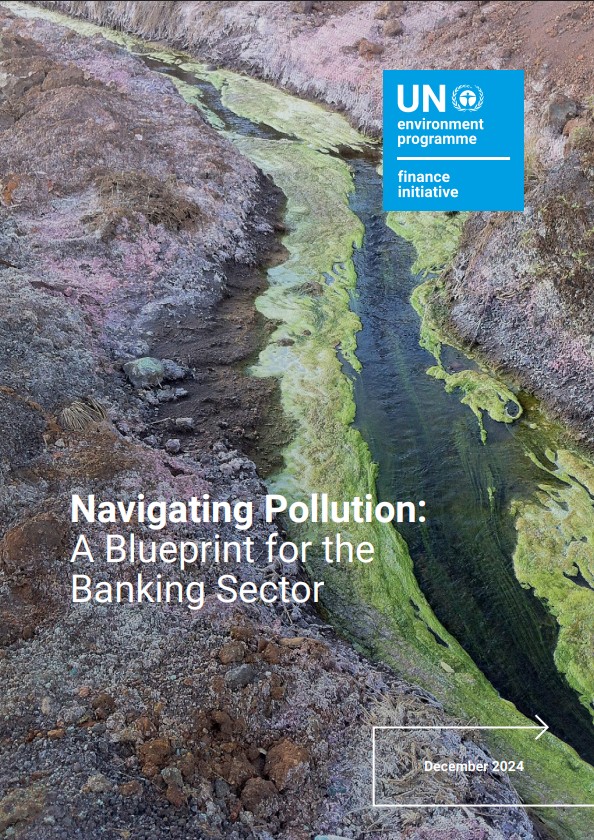 Navigating Pollution: A Blueprint for the Banking Sector