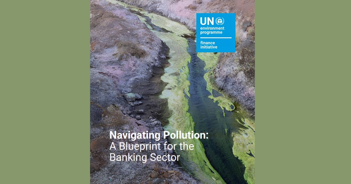 Navigating Pollution: A Blueprint for the Banking Sector