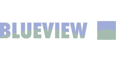 Blueview_logo