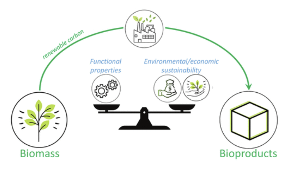 The balance between biomass, renewable carbon, and bioproducts