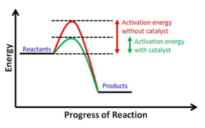 This chart shows that the activation energy of a reaction with a catalyst is lower than without a catalyst.