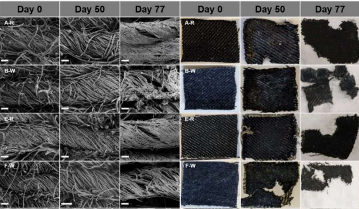 images of textile degradation from day 0 to day 77