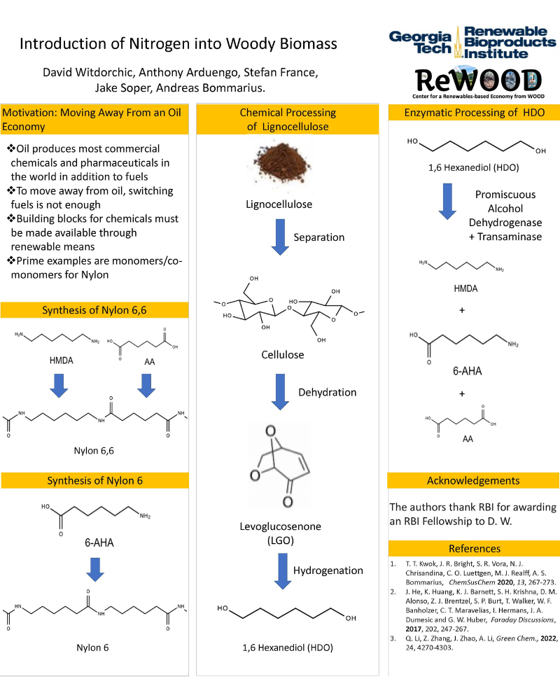 Poster on the Introduction of Nitrogen into Woody Biomass-Derived Materials