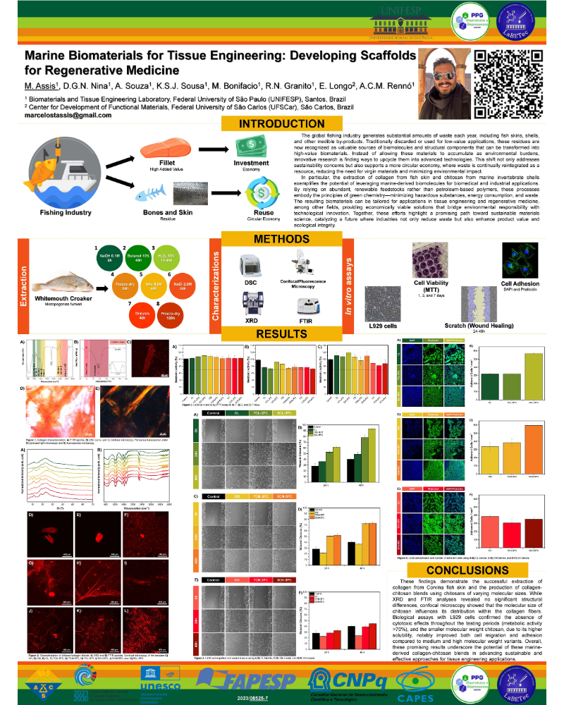 Results Related to My Research on Fish Collagen Extraction and Its Blends with Chitosan for the Fabrication of New Tissue Engineering Scaffolds