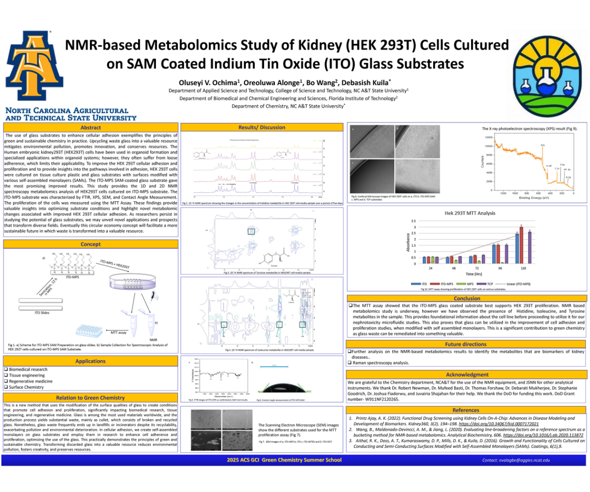 NMR-based Metabolomics Study of Kidney (HEK 293T) Cells Cultured on SAM Coated Indium Tin Oxide (ITO) Glass Substrates.