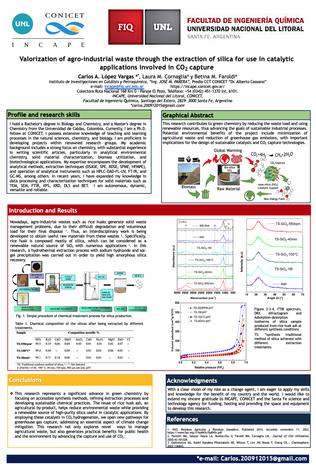 Use of biomass for catalysts synthesis involved in CO2 capture