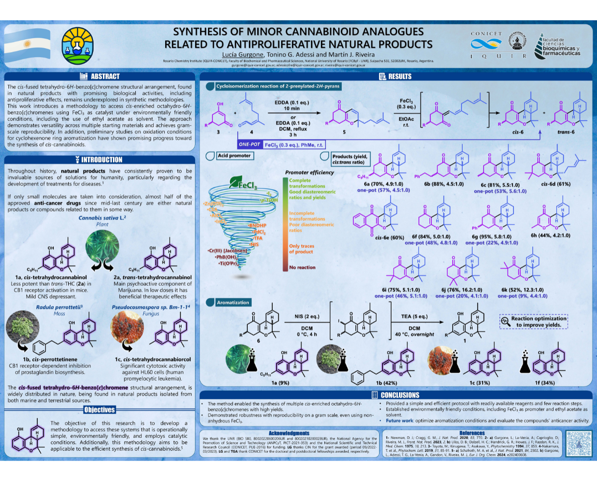 Poster on the Synthesis of Minor Cannabinoid Analogues Related to Antiproliferative Natural Products