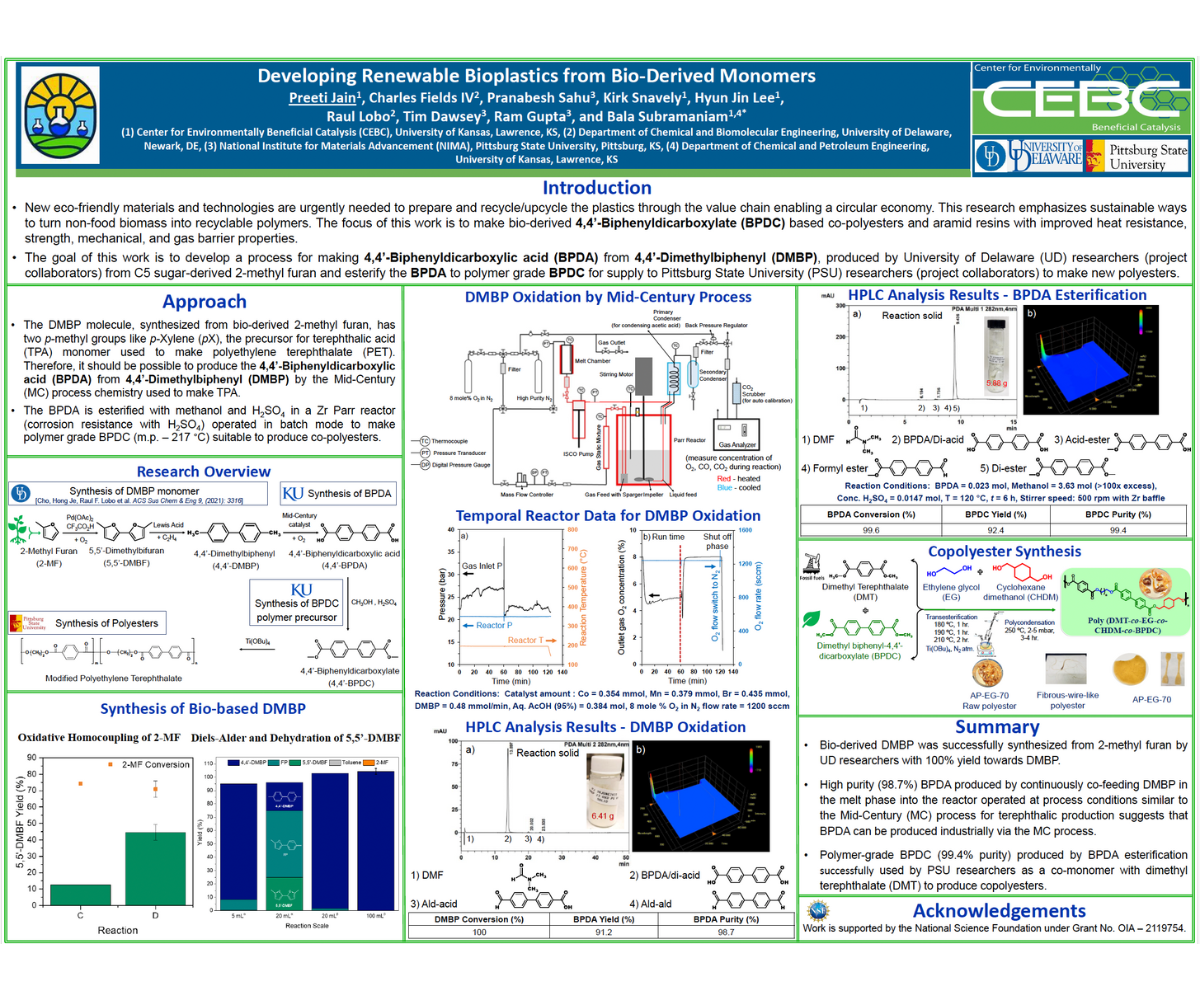 Preeti Jain ACS summer school poster image 