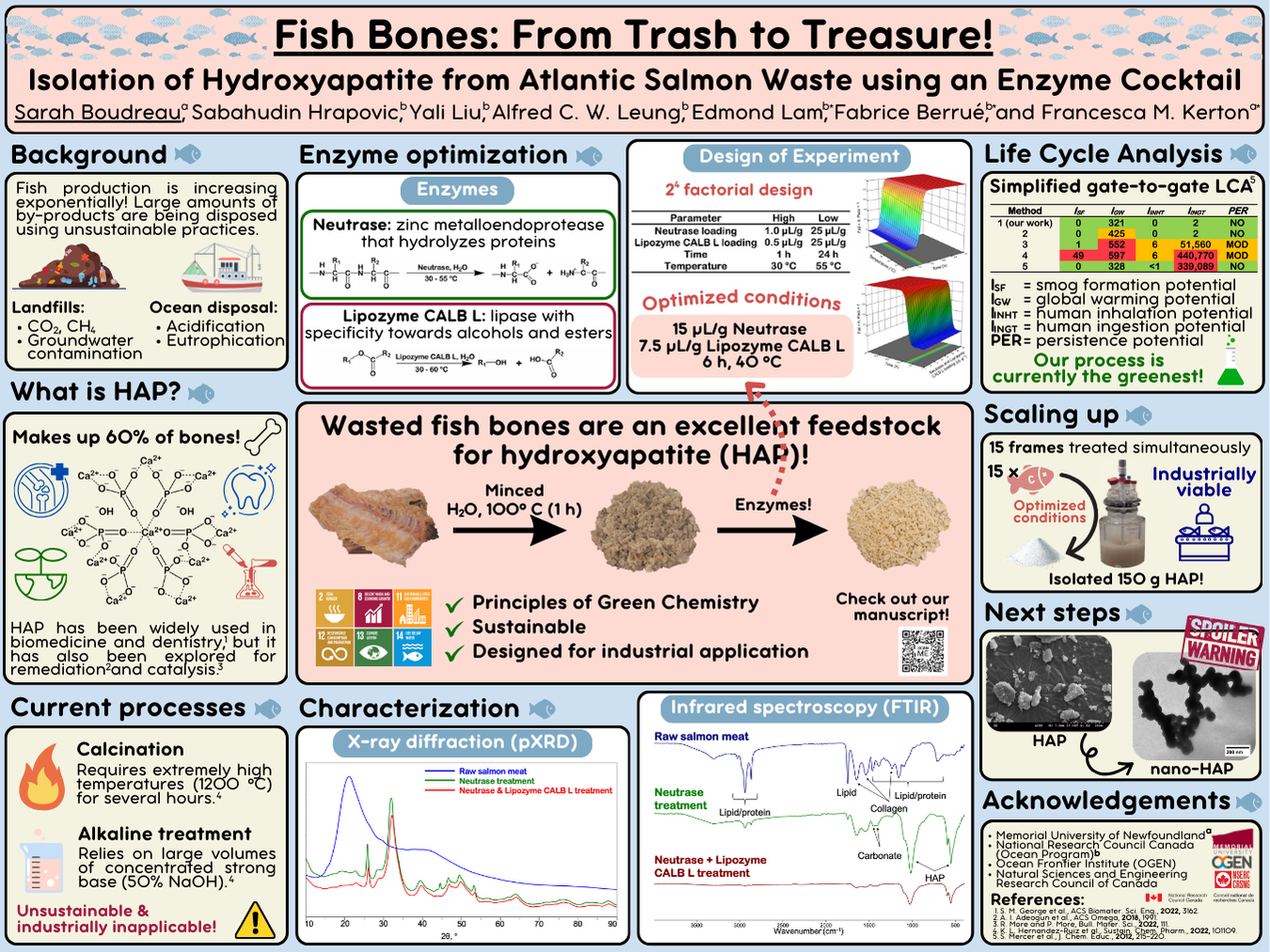 A research poster describing the isolation of hydroxyapatite from Atlantic salmon frames using an enzyme treatment. Please visit our manuscript published at RSC Sustainability for more information.