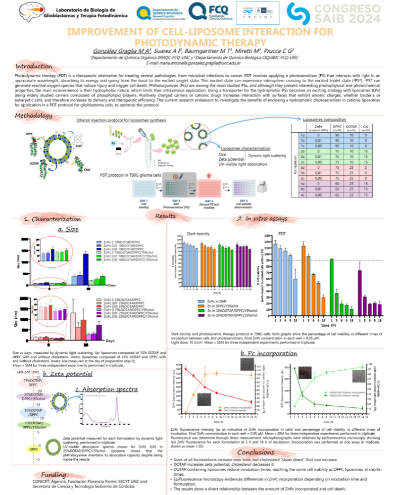 The image corresponds to a poster that shows the synthesis and characterization of cationic liposomes loaded with a zinc-phthalocyanine (ZnPc) on the day of their preparation and over time. The effect of liposomes loaded with ZnPc on the viability of T98G cells when applying a photodynamic therapy protocol, and the incorporation of Pc into the cells when using different lipid compositions for the liposomal preparation, are also shown.