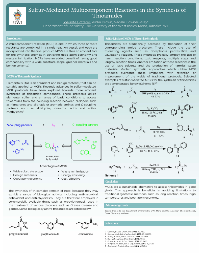 Poster on Sulfur-Mediated Multicomponent Reactions in the Synthesis of Thioamides