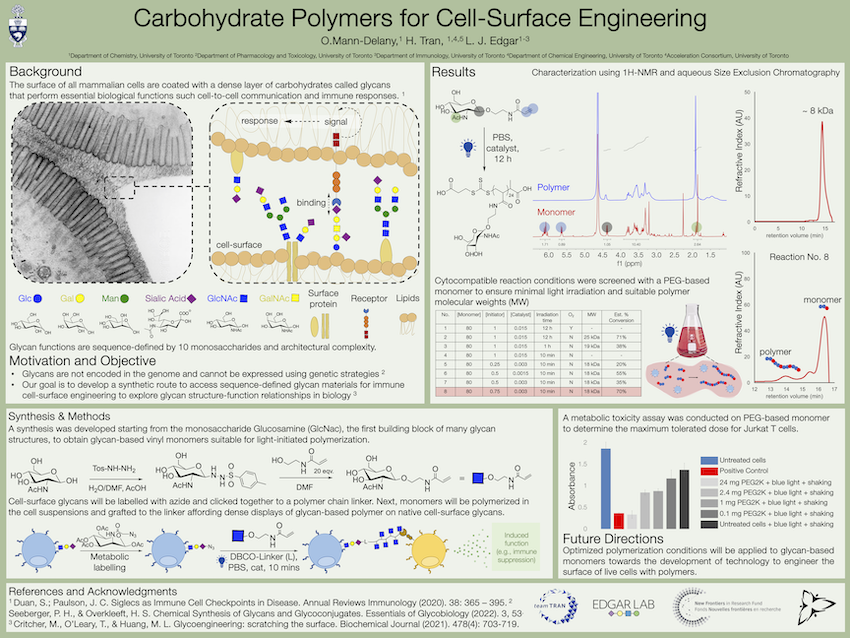 Light-catalyzed synthesis of carbohydrate polymers for in situ cell surface engineering  [POSTER IMAGE]