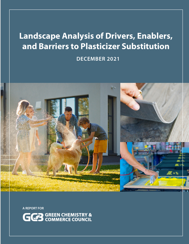 Cover of Landscape Analysis of Drivers, Enablers,  and Barriers to Plasticizer Substitution