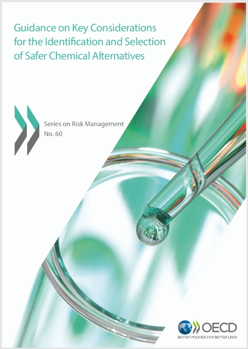 Screenshot of the cover of the Guidance on Key Considerations  for the Identification and Selection  of Safer Chemical Alternatives