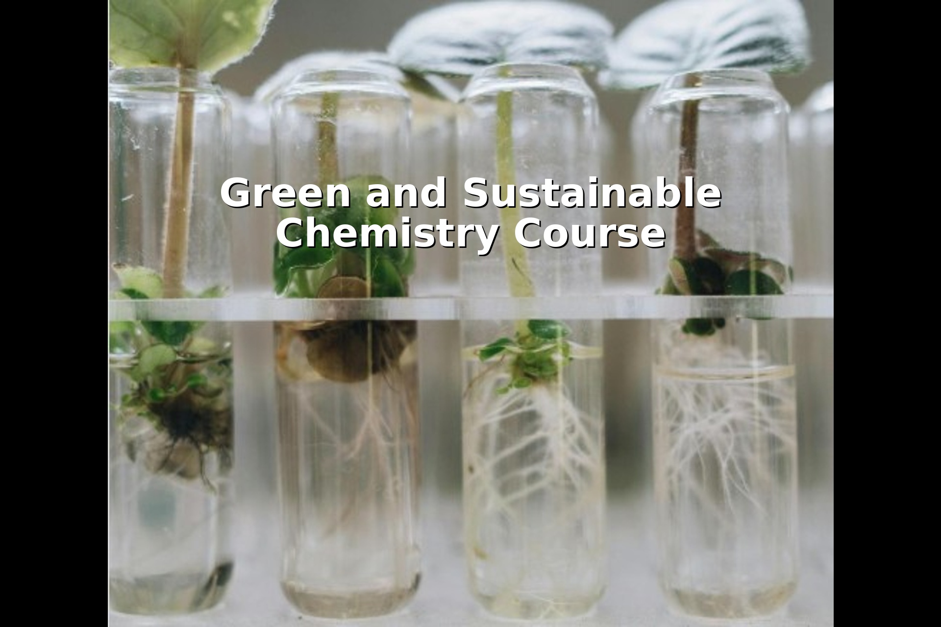 Green and Sustainable Chemistry Course