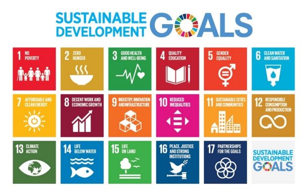 UN Sustainable Development Goals image