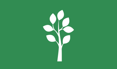 Icon of Plant
