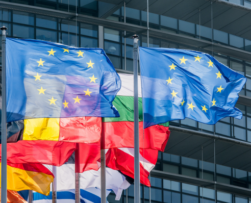 International flags outside the European Union building in Strasbourg, France