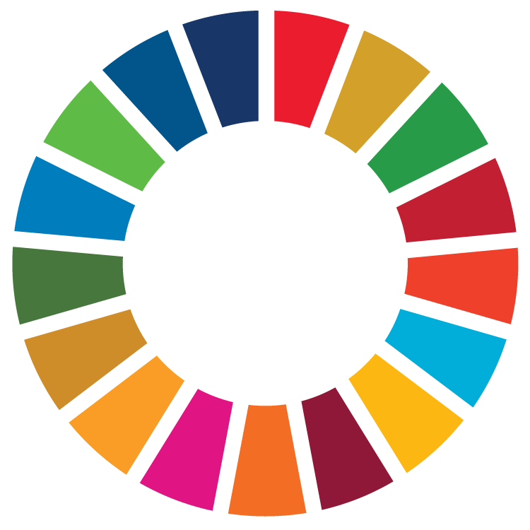 UN SDGs Wheel of Colors