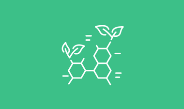 solid lime green background with biology signs and a leaf