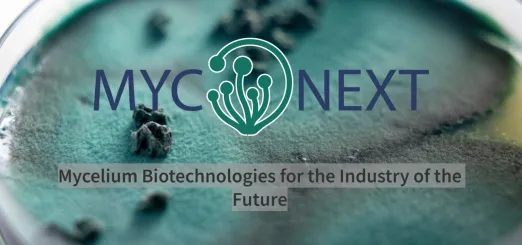 MycoNEXT - Mycelium Biotechnologies for the Industry of the Future