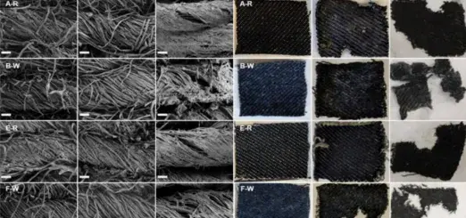 images of textile degradation from day 0 to day 77