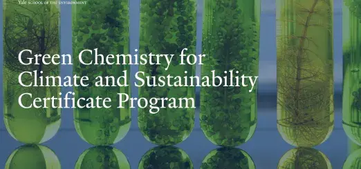 Green Chemistry for Climate and Sustainability Certificate Program Image With Test Tubes Showing Biofuel Development