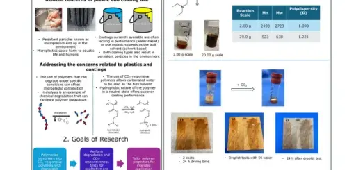 Poster on Designing CO2-responsive and Degradable Polymers