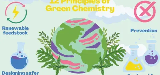 Poster depicting the 12 Principles of Green Chemistry