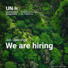 UNEP we are hiring