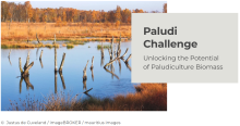 Paludi Challenge - Unlocking the Potential of Paludiculture Biomass