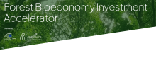 Forest Bioeconomy Investment Accelerator