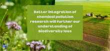 Photo shows the bio diverse field vs a conventional farm with the following words overlayed: Better integration of chemical pollution research will further our understanding of biodiversity loss