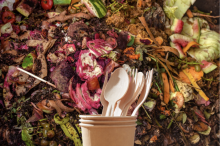 Picture by Canva, compostable & biodegradable products 