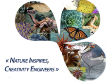 Nature Inspires, Creativity Engineers