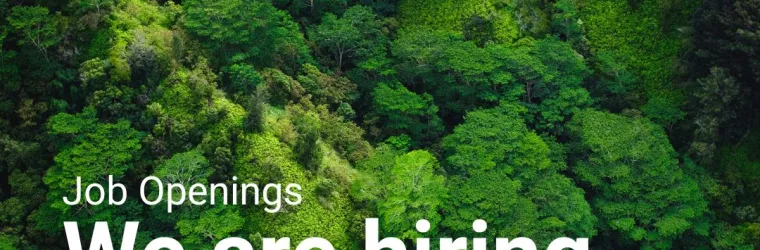 UNEP we are hiring