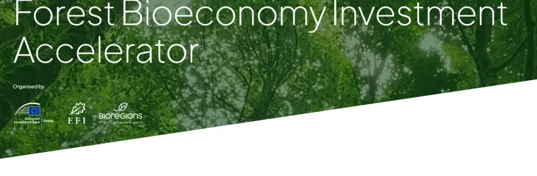 Forest Bioeconomy Investment Accelerator