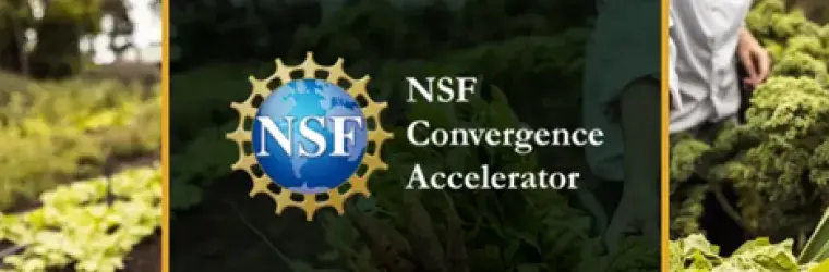 NSF Convergence Accelerator