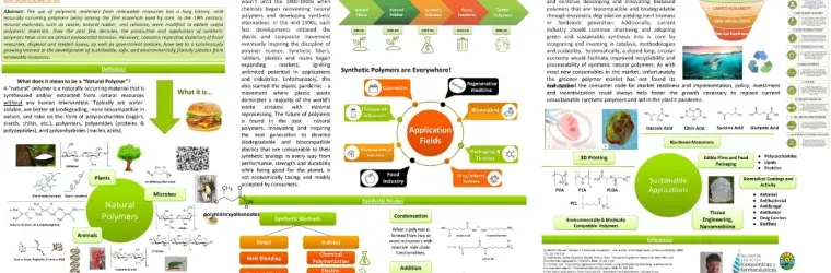 Natural Polymers Poster with detailed text and graphics created by Darián Vazquez and Dylan Shuster