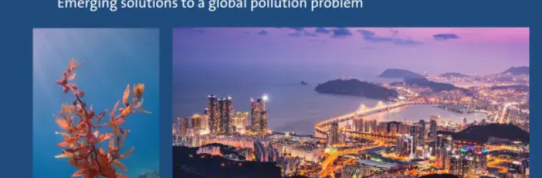 Green Chemistry, water, and plastics: emerging solutions to a global pollution problem