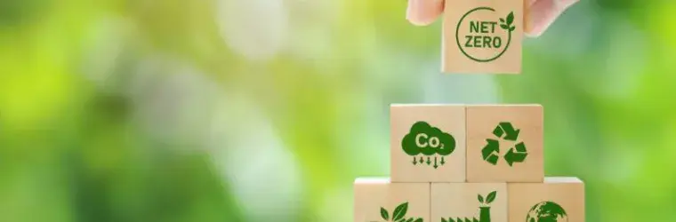 A hand reaches down to place a wooden block on a pyramid of block with Sustainability icons
