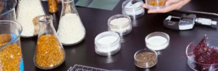 scientists assess an array of materials in glassware