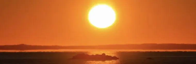 Canva, picture of the sun 