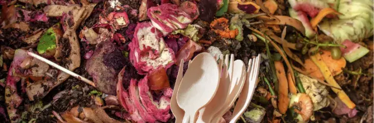 Picture by Canva, compostable & biodegradable products 