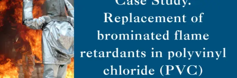 Person walking into flames in fire retardant suit. it says: Case Study. Replacement of brominated flame retardants in polyvinyl chloride (PVC)