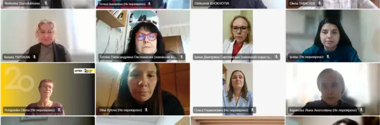 participants of the webinar