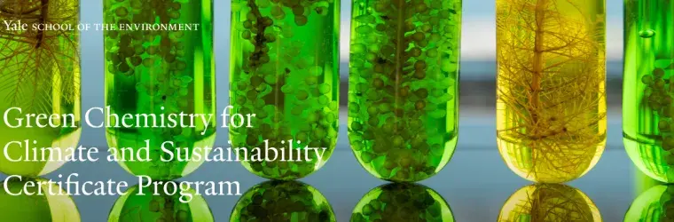 Green Chemistry for Climate and Sustainability Certificate Program
