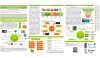 Natural Polymers Poster with detailed text and graphics created by Darián Vazquez and Dylan Shuster