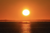 Canva, picture of the sun 